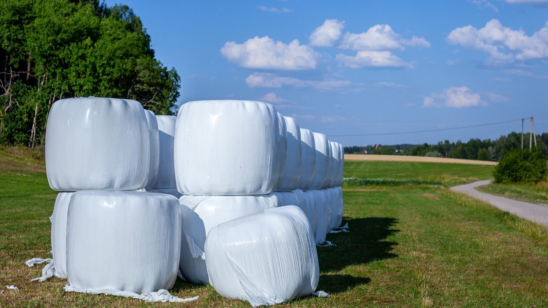 Bale wraps