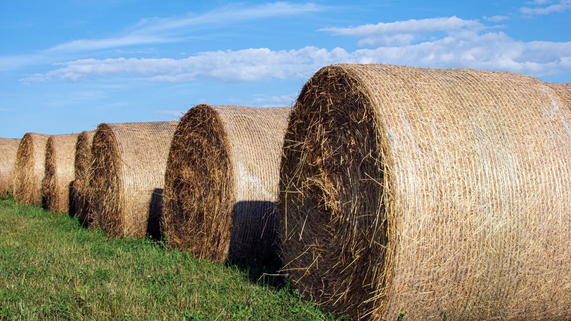 Suomen Maatalousmuovien Kierrätys Oy:n vuosi 2025 oli toiminnan vakiintumisen ja laajentumisen vuosi